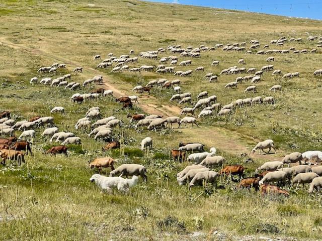 Casale Della Maiella Διαμέρισμα Guardiagrele Εξωτερικό φωτογραφία